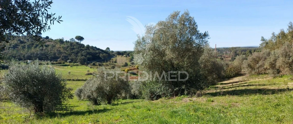 Terreno para Venda em Arneiro das Milhariças Foto 6