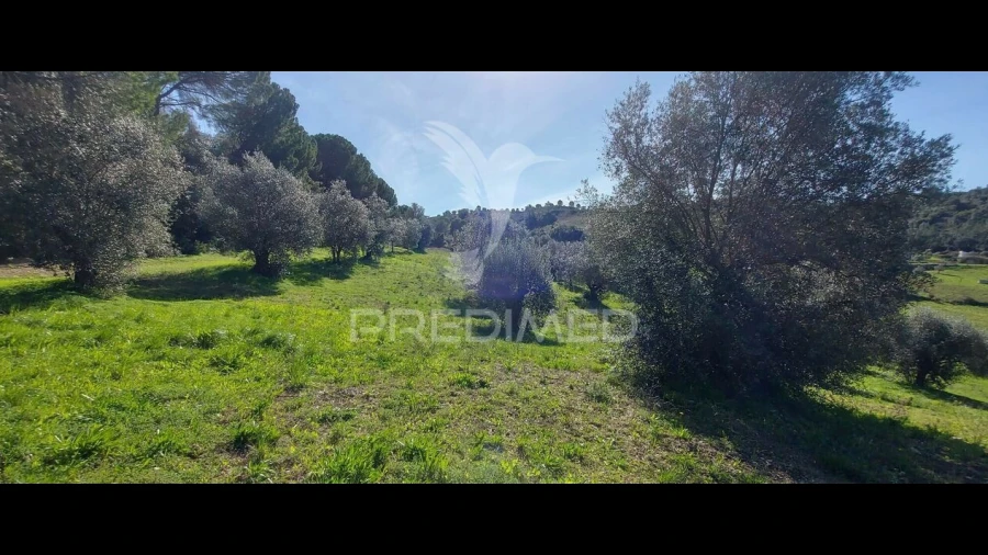 Terreno para Venda em Arneiro das Milhariças