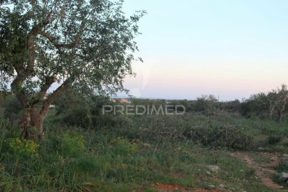 Terreno para Venda em Paderne