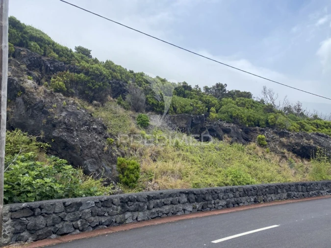 Terreno para Venda em Urzelina (São Mateus) Foto 6