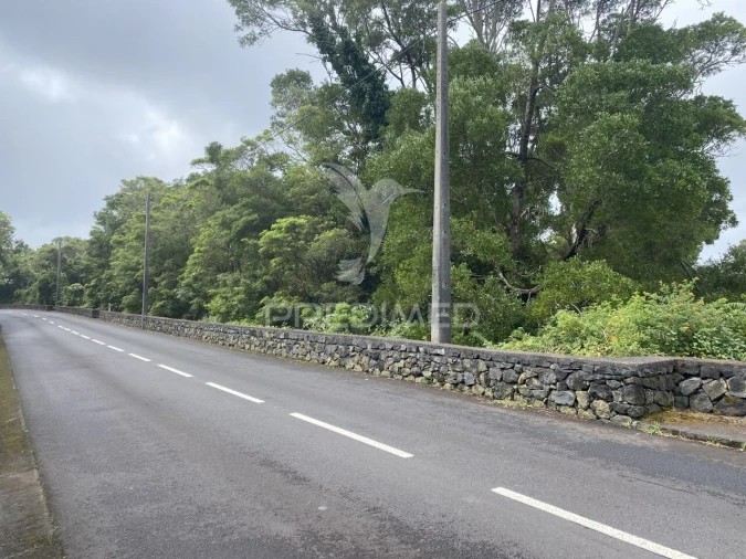 Terreno para Venda em Urzelina (São Mateus) Foto 16