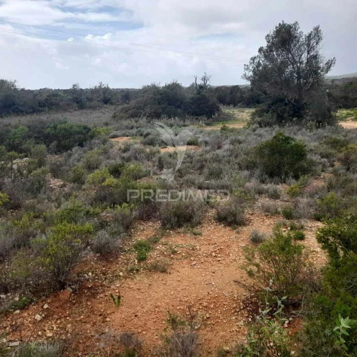 Terreno para Venda em Quelfes Foto 9