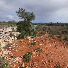 Terreno para Venda em Quelfes