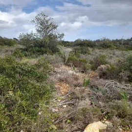 Terreno para Venda em Quelfes