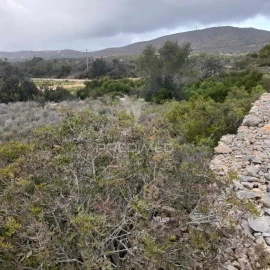 Terreno para Venda em Quelfes
