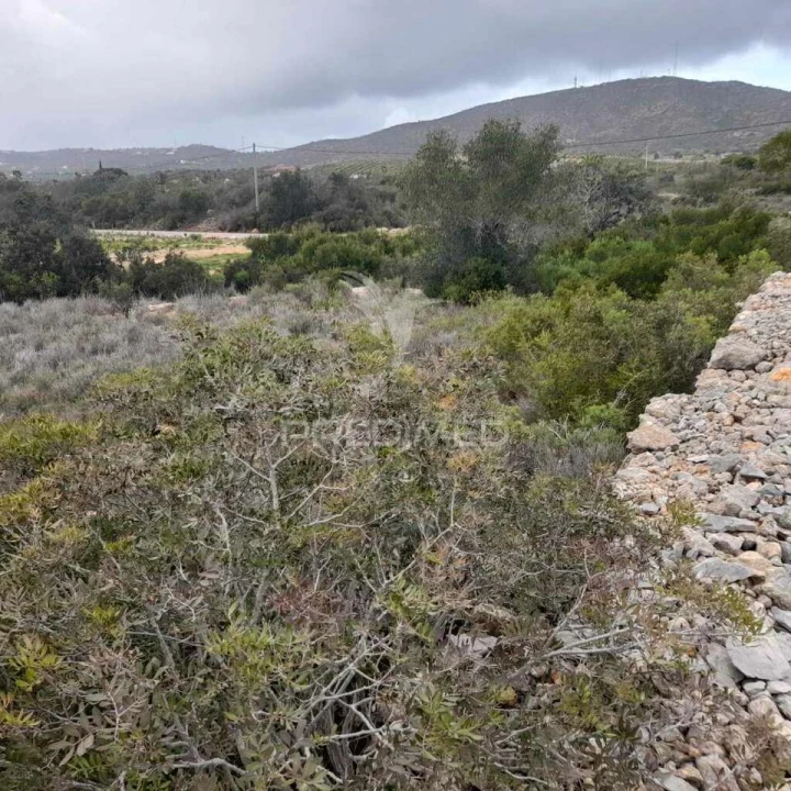 Terreno para Venda em Quelfes Foto 6