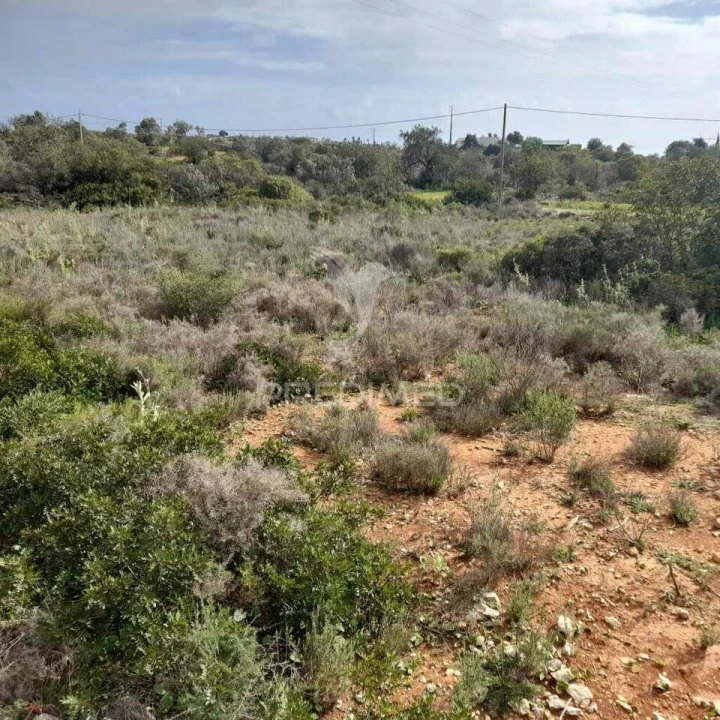 Terreno para Venda em Quelfes Foto 7