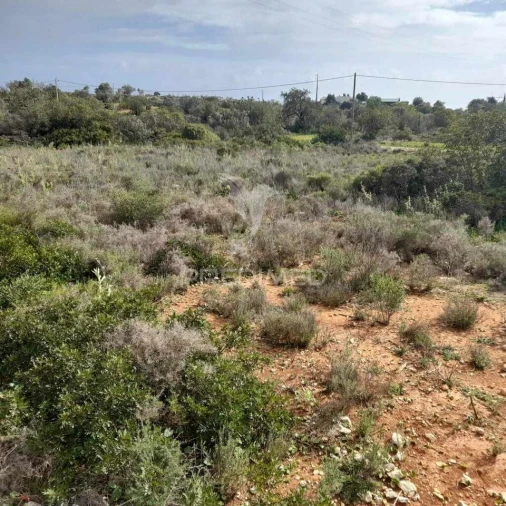 Terreno para Venda em Quelfes Foto 7