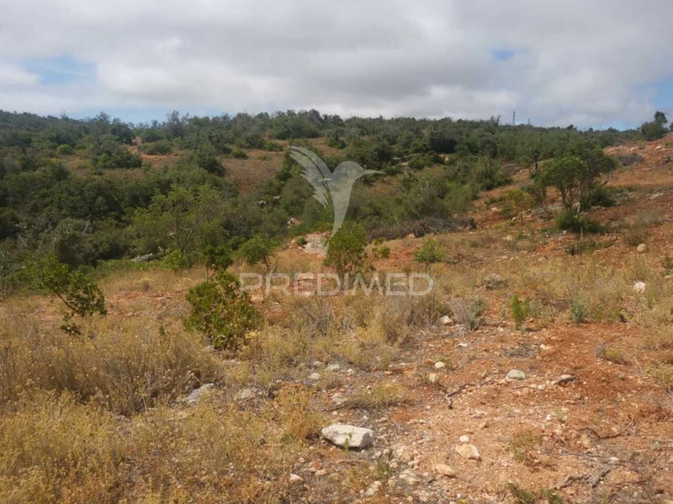 Moradia T2 para Venda em Paderne Foto 23