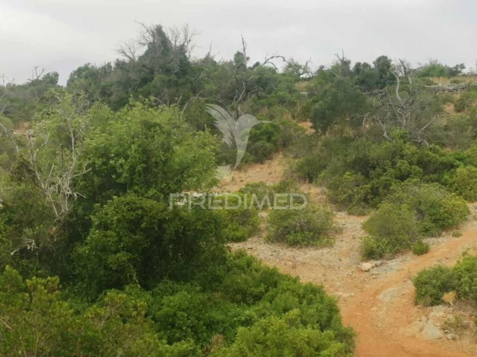 Moradia T2 para Venda em Paderne Foto 5