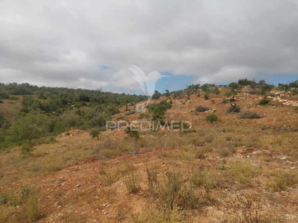 Moradia T2 para Venda em Paderne Foto 22