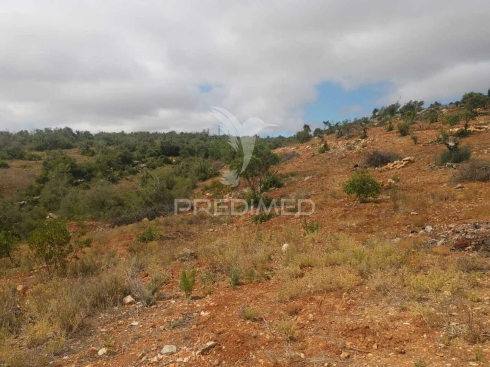 Moradia T2 para Venda em Paderne Foto 21