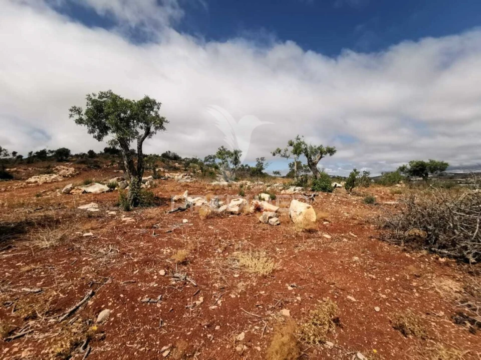 Moradia T2 para Venda em Paderne Foto 10