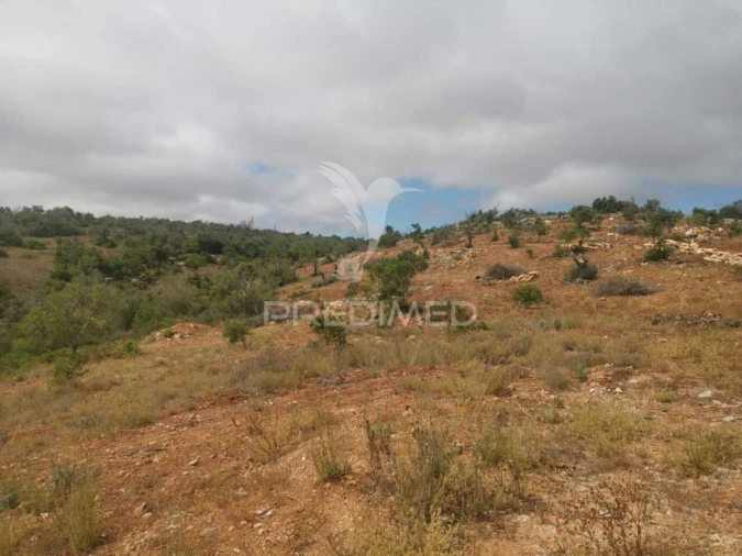 Moradia T2 para Venda em Paderne Foto 22