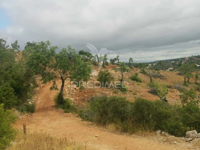 Moradia T2 para Venda em Paderne Foto 4