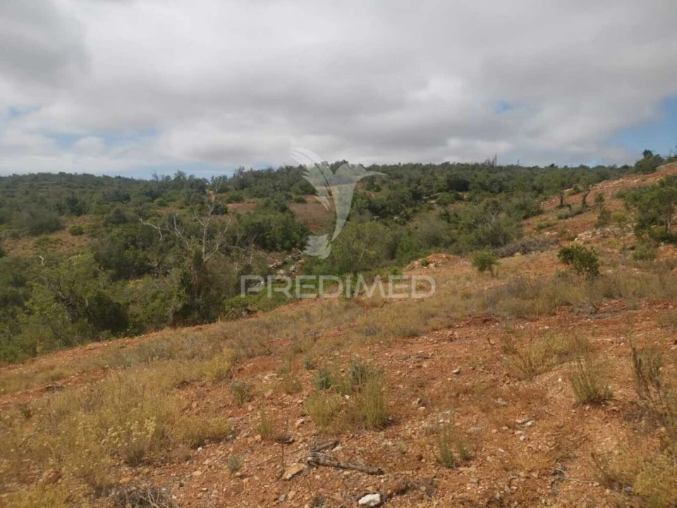 Moradia T2 para Venda em Paderne Foto 17