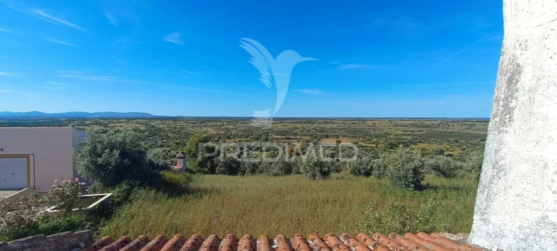 Moradia T3 para Venda em Montalvão Foto 22