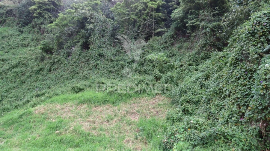 Terreno para Venda em Estreito de Camara de Lobos