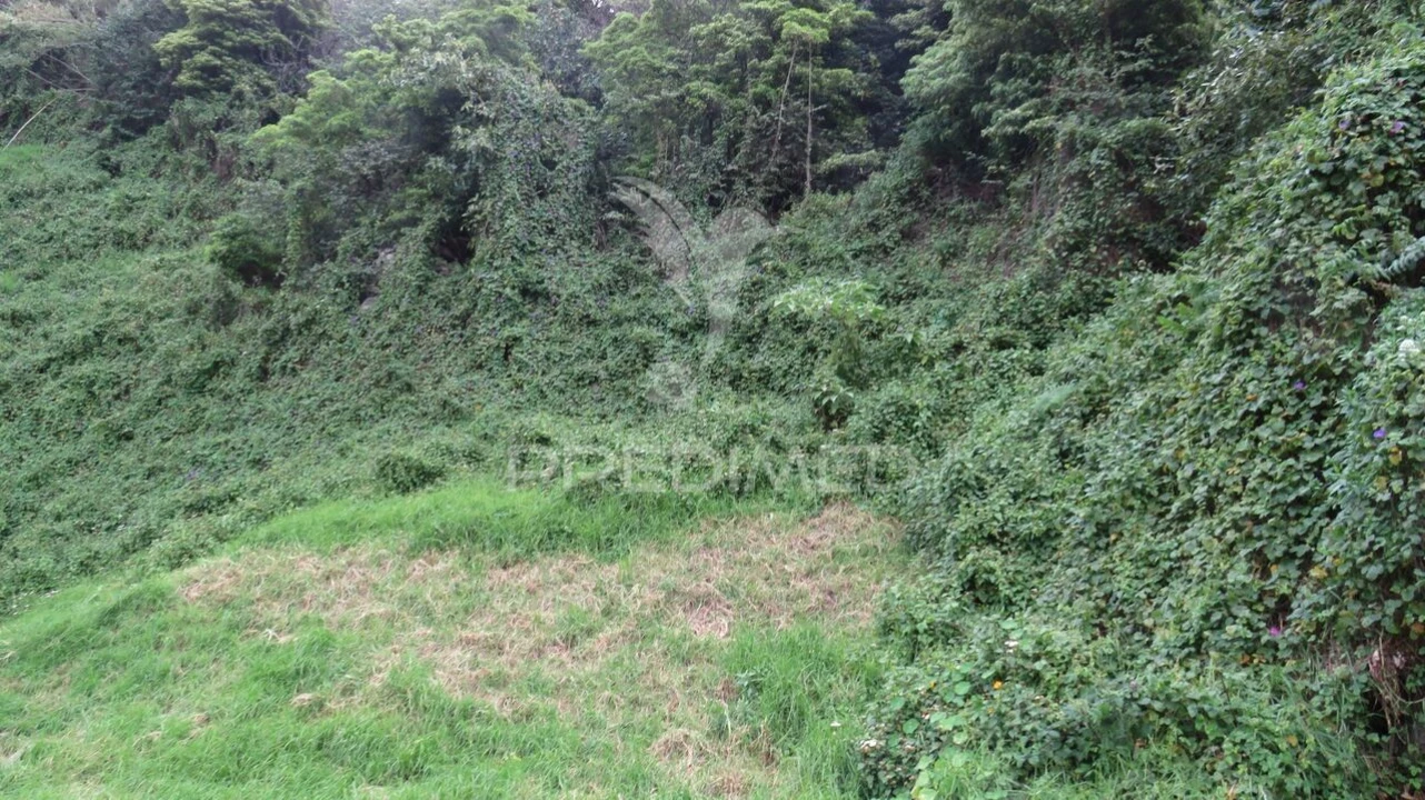 Terreno para Venda em Estreito de Camara de Lobos Foto 1