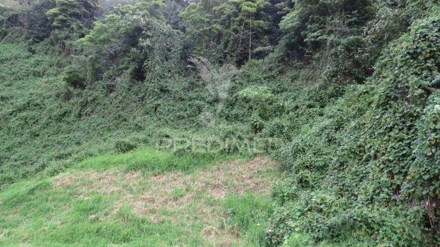 Terreno para Venda em Estreito de Camara de Lobos