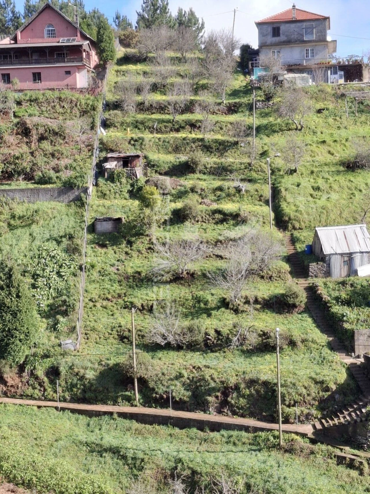 Terreno para Venda em Camacha Foto 3