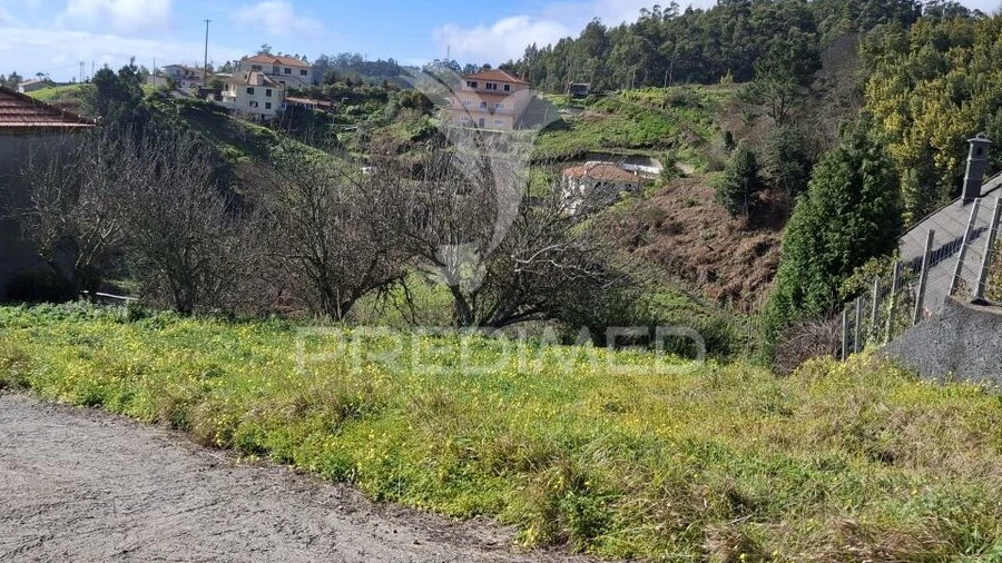 Terreno para Venda em Camacha