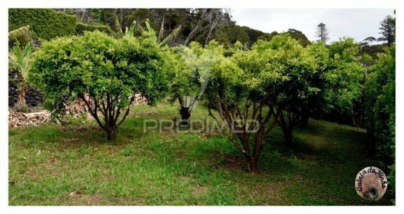 Moradia T3 para Venda em Manadas (Santa Barbara) Foto 6