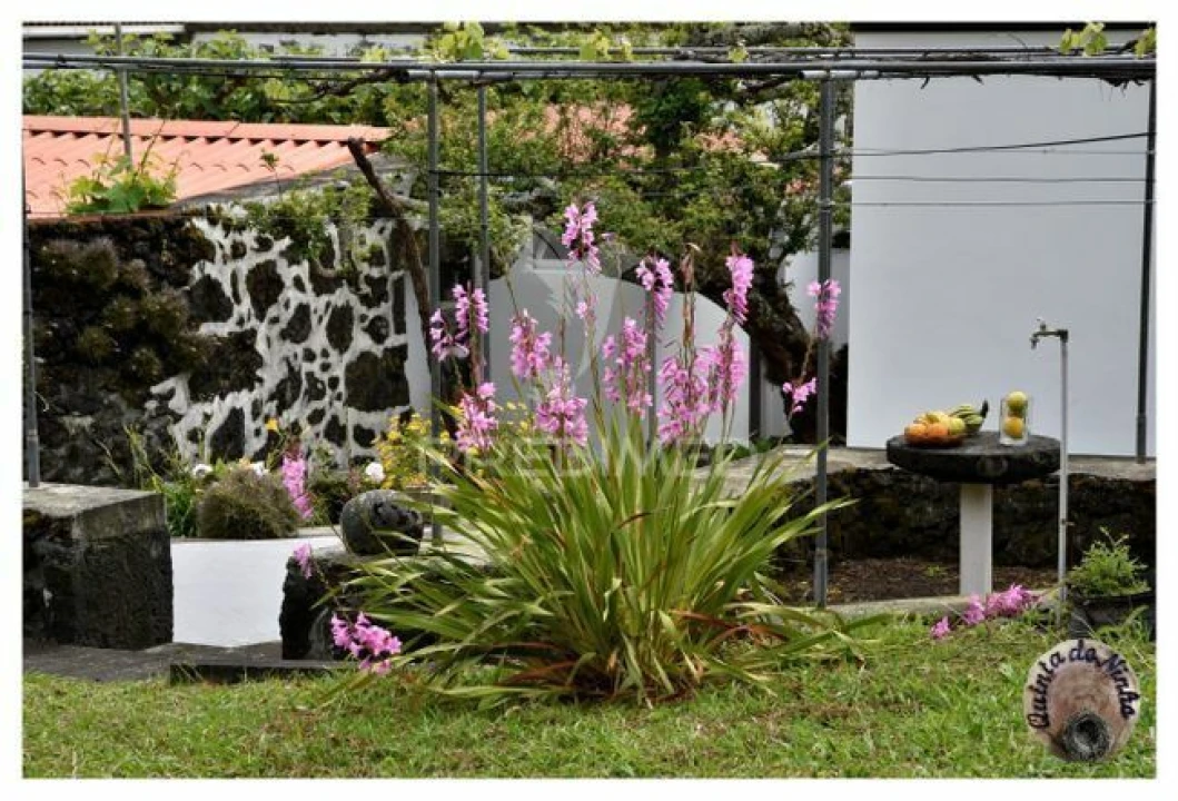 Moradia T3 para Venda em Manadas (Santa Barbara) Foto 4