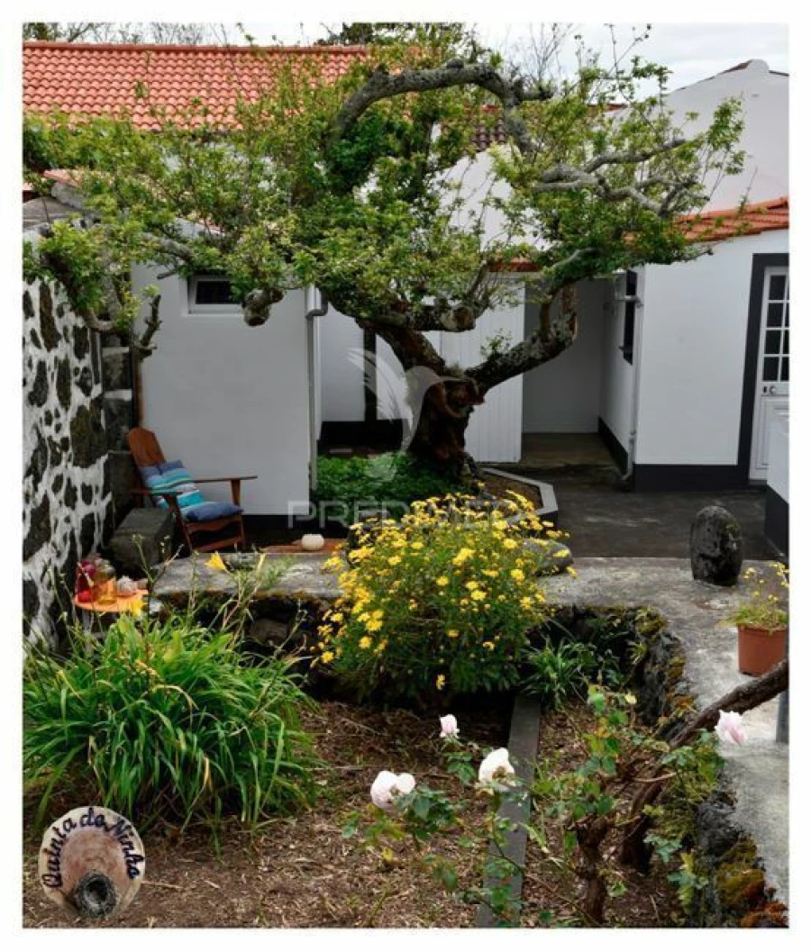 Moradia T3 para Venda em Manadas (Santa Barbara) Foto 3