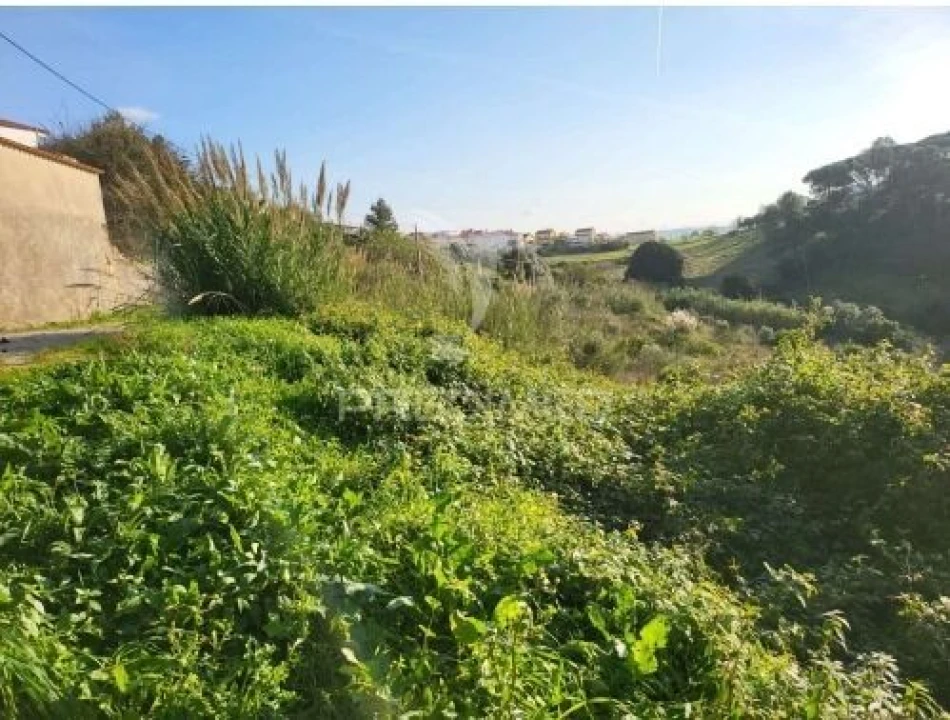Terreno para Venda em Turcifal Foto 12