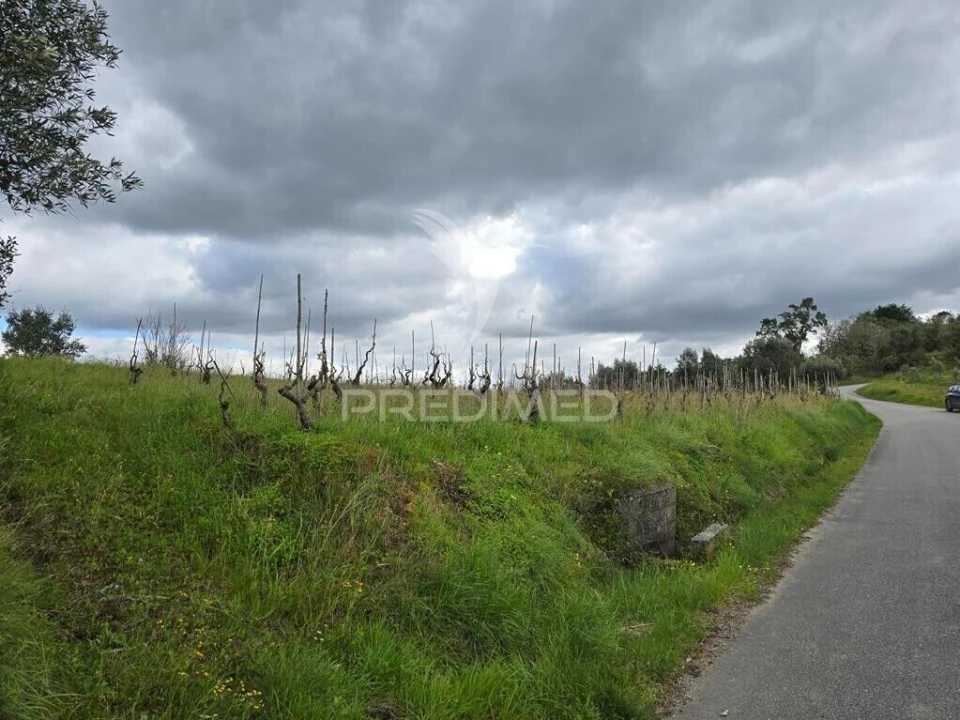 Terreno para Venda em Almalagues Foto 2