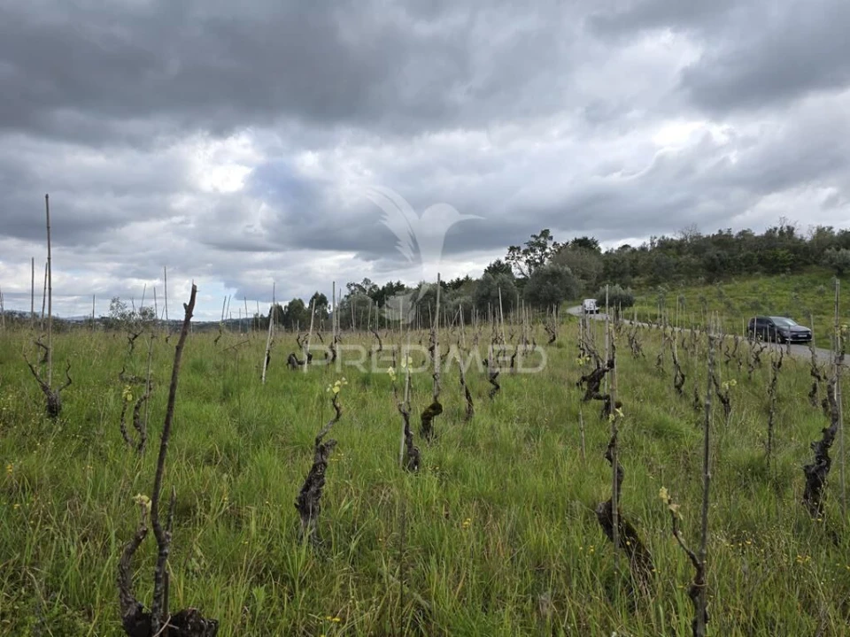 Terreno para Venda em Almalagues Foto 14