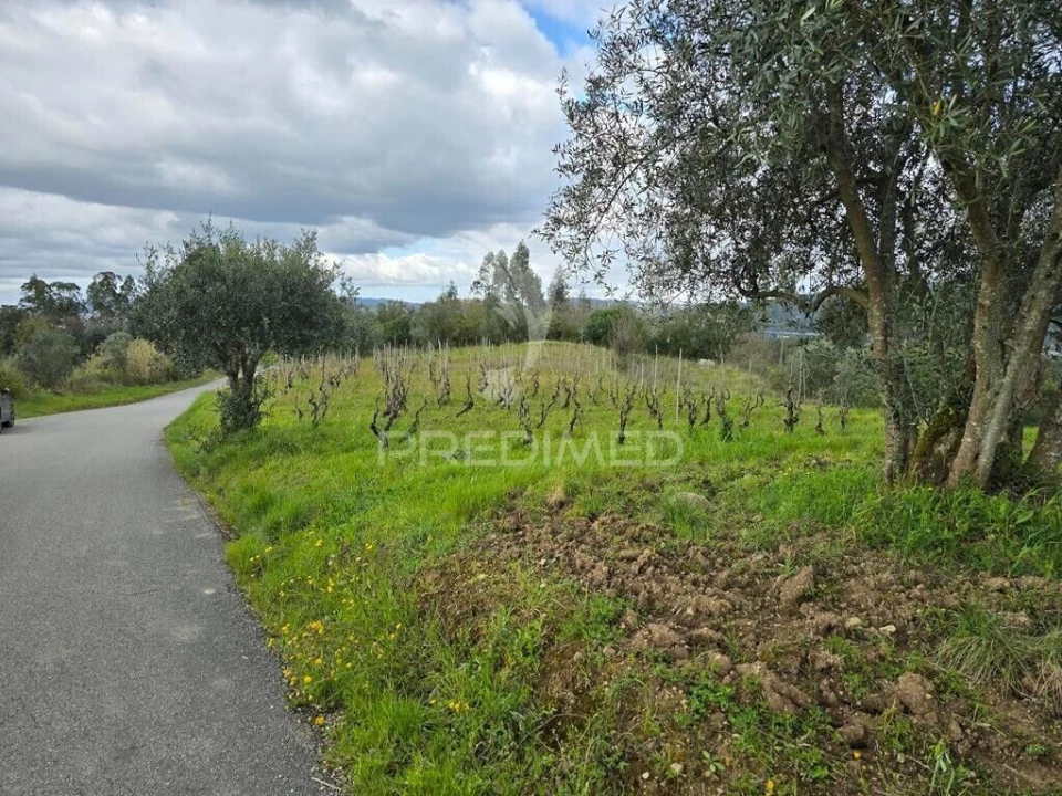 Terreno para Venda em Almalagues Foto 1