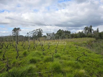 Terreno para Venda em Almalagues