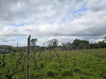 Terreno para Venda em Almalagues