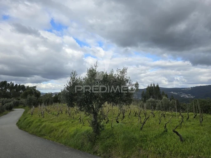 Terreno para Venda em Almalagues Foto 3
