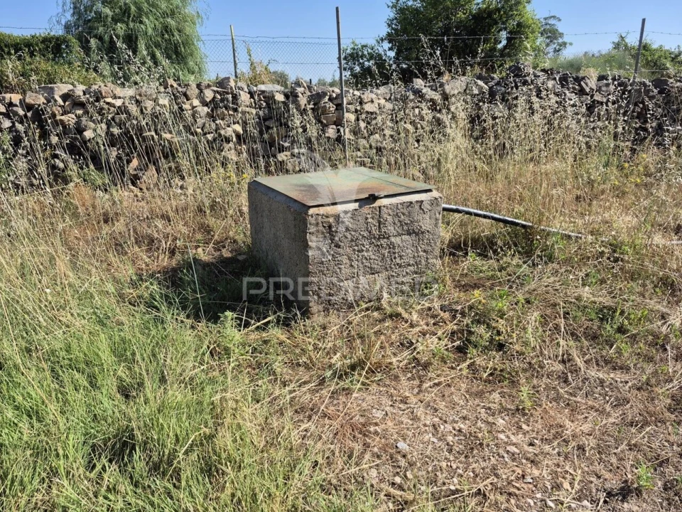 Terreno para Venda em Borba (Matriz) Foto 9