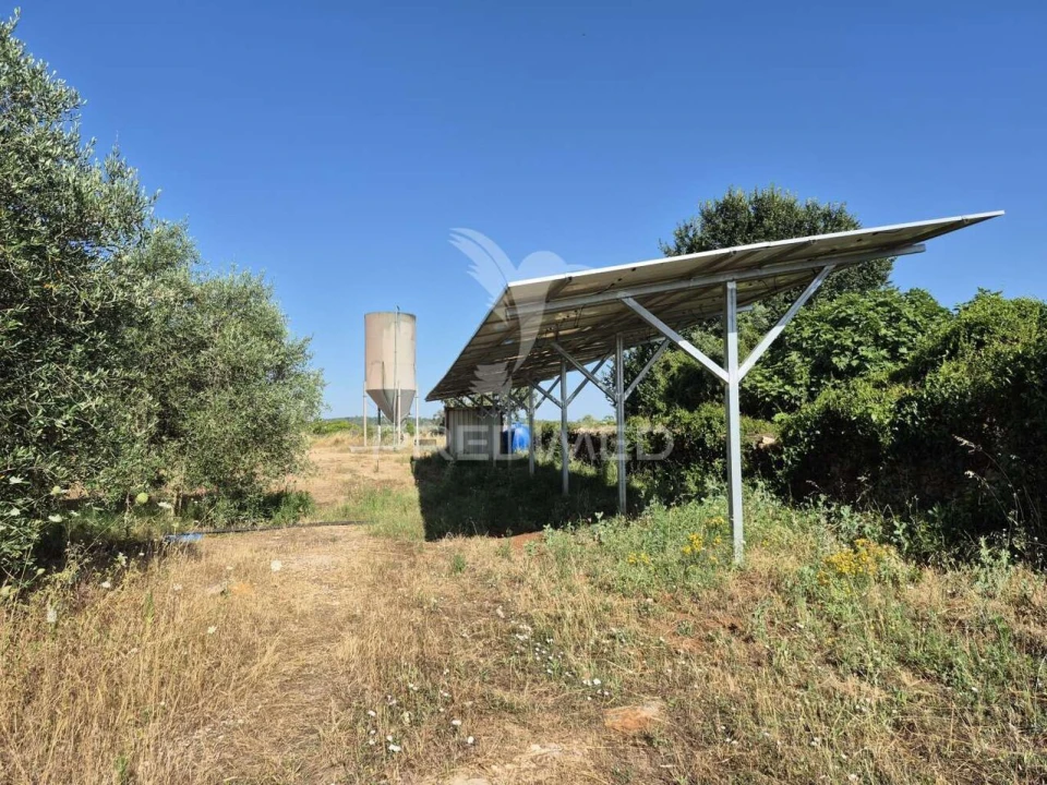 Terreno para Venda em Borba (Matriz) Foto 8