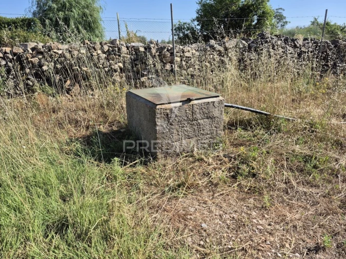 Terreno para Venda em Borba (Matriz) Foto 9