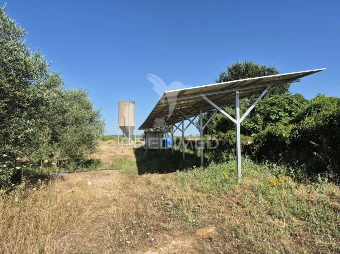 Terreno para Venda em Borba (Matriz) Foto 8