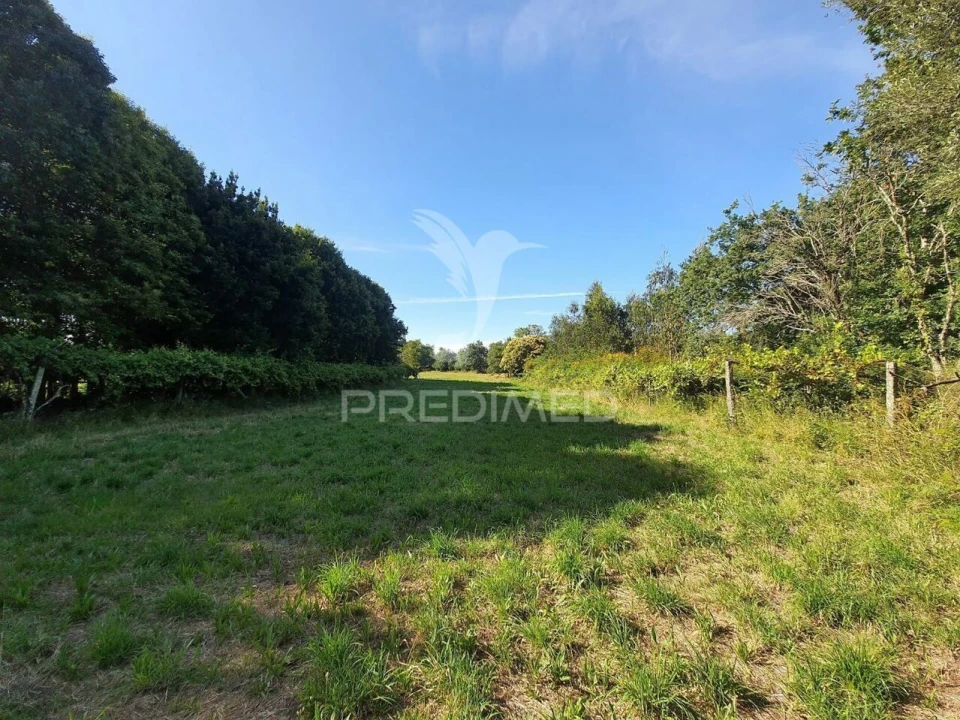 Terreno para Venda em Santo Tirso, Couto (Santa Cristina e São Miguel) e Burgães Foto 6