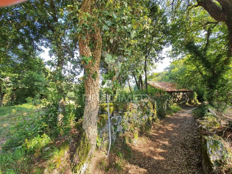 Terreno para Venda em Santo Tirso, Couto (Santa Cristina e São Miguel) e Burgães Foto 3