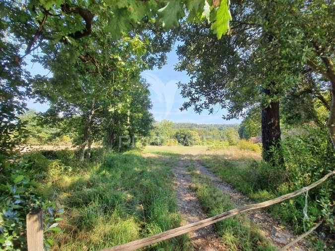 Terreno para Venda em Santo Tirso, Couto (Santa Cristina e São Miguel) e Burgães Foto 4