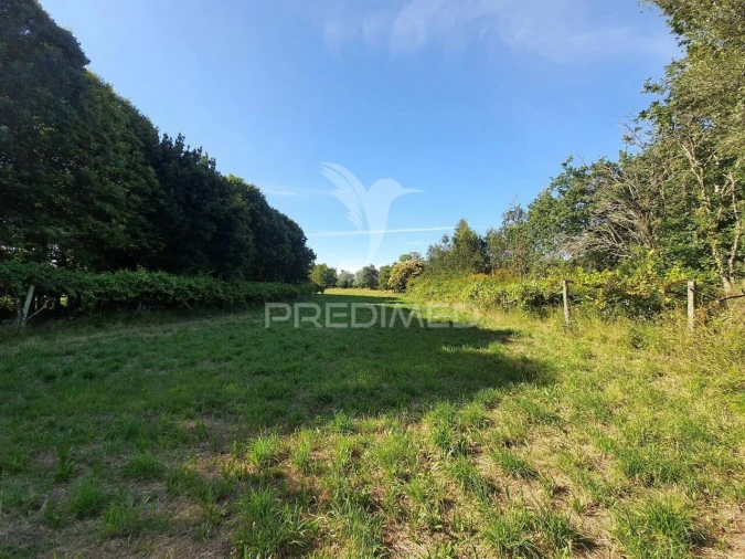 Terreno para Venda em Santo Tirso, Couto (Santa Cristina e São Miguel) e Burgães Foto 6