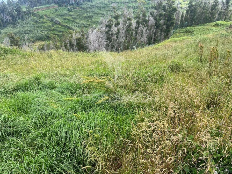 Terreno para Venda em Ponta do Pargo Foto 2