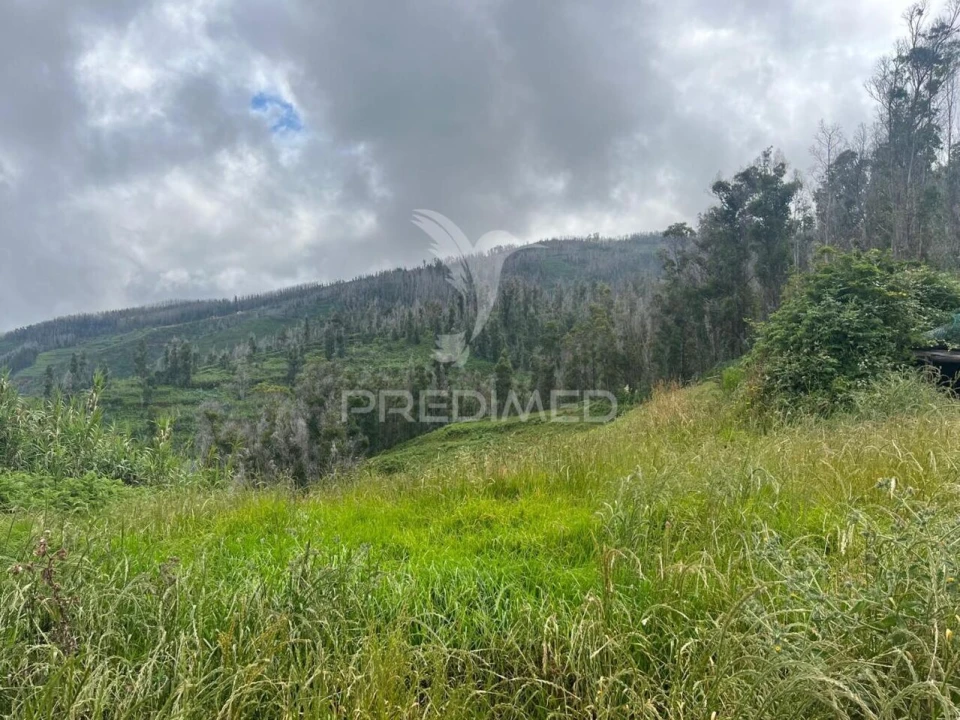 Terreno para Venda em Ponta do Pargo Foto 4