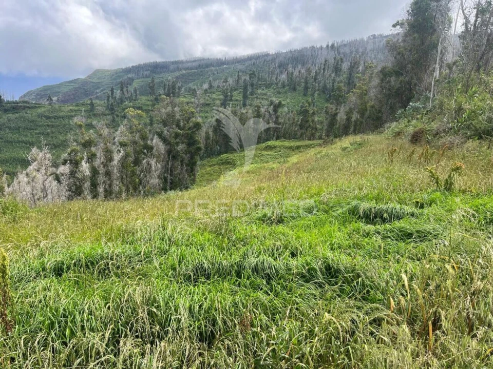 Terreno para Venda em Ponta do Pargo Foto 3