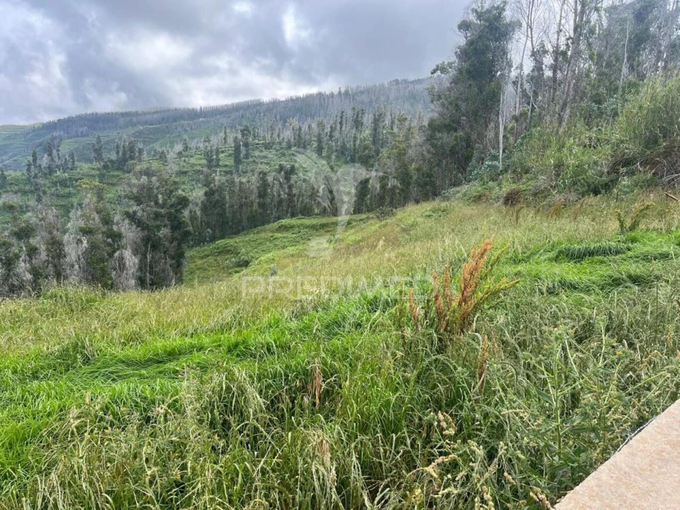 Terreno para Venda em Ponta do Pargo Foto 7