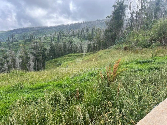 Terreno para Venda em Ponta do Pargo Foto 7