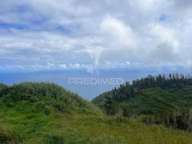 Terreno para Venda em Ponta do Pargo Foto 5